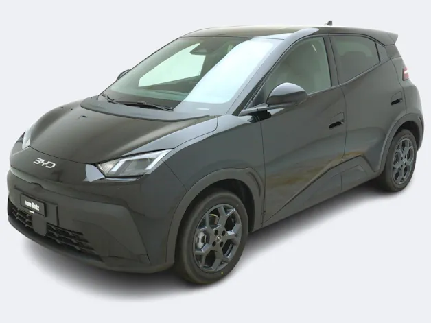BYD Dolphin Surf Comfort