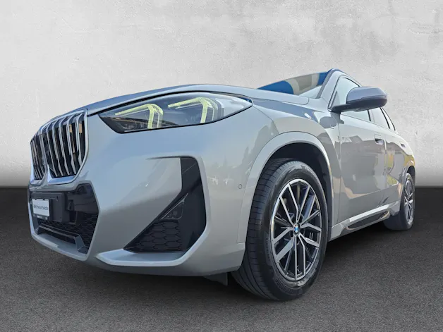 BMW X1 20d xDrive paddles