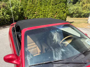 Ford COBRA STV 4.6 i