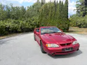 FORD COBRA STV 4.6 i