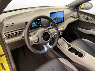 BYD Dolphin Surf Comfort