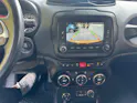 Jeep Renegade 2.0 CRD Trailhawk AWD + Low Range 9ATX