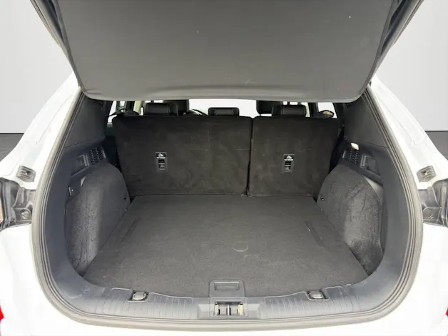 Ford Kuga 2.0 EcoBlue Hybrid Titanium X