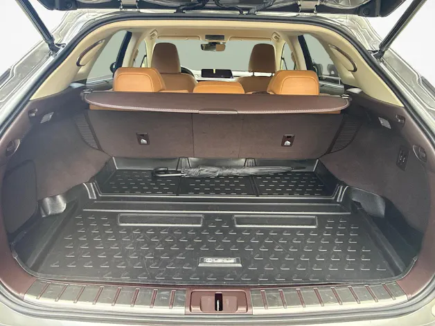 Lexus RX 450h Excellence