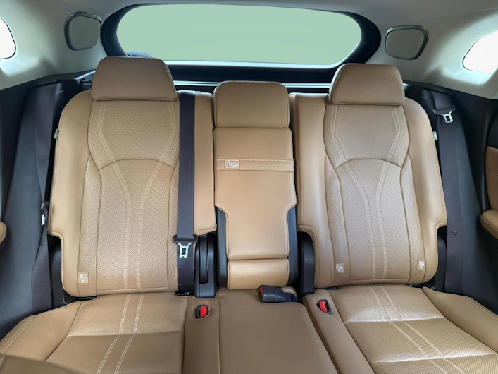Fahrzeugbild LEXUS RX