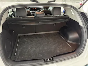 Kia e-Niro Style