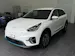 Kia e-Niro Style