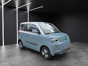 BAW Pony Electric