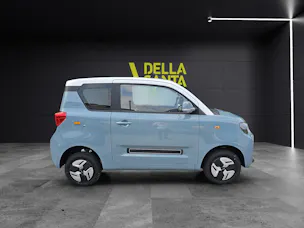 BAW Pony Electric