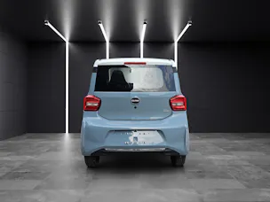 BAW Pony Electric