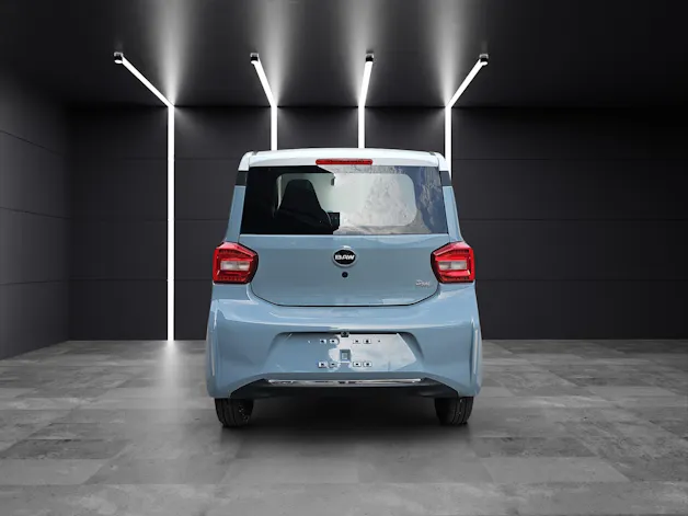 BAW Pony Electric