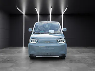 BAW Pony Electric