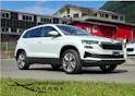 Škoda Karoq 2.0 TDI CR Style 4x4 DSG *Anhängerkup.+Winterkomplettrad*