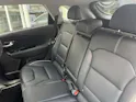 Kia e-Niro Style