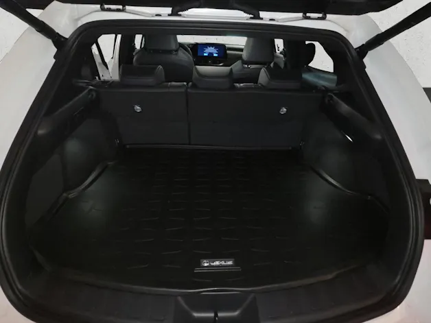 Lexus UX 300h F-Line