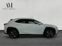 Lexus UX 300h F-Line