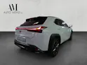 Lexus UX 300h F-Line
