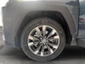 Toyota RAV4 2.5 HEV Trend