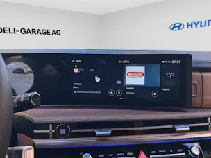 HYUNDAI Santa Fe 1.6 T-GDi HEV Calligraphy 4WD Automatic