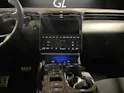 Hyundai Tucson 1.6 TGDI HEV N Line LUX pack 4WD