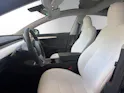 Tesla Model 3 Perform. Dual AWD