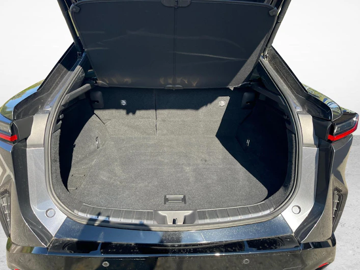 Fahrzeugbild LEXUS RZ