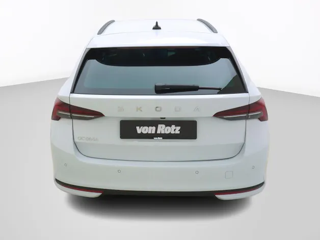 Škoda Octavia 2.0 TSI Selection-Loft 4x4 DSG