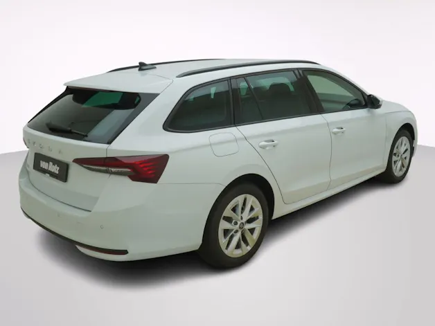 Škoda Octavia 2.0 TSI Selection-Loft 4x4 DSG