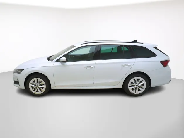 Škoda Octavia 2.0 TSI Selection-Loft 4x4 DSG