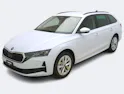 Škoda Octavia 2.0 TSI Selection-Loft 4x4 DSG