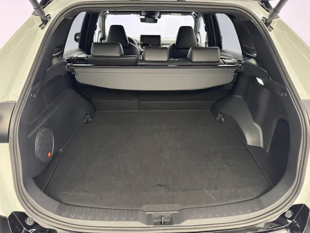 Toyota RAV4 2.5 Plug-in-Hybrid Platinum AWD-i