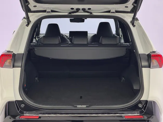 Toyota RAV4 2.5 Plug-in-Hybrid Premium AWD-i