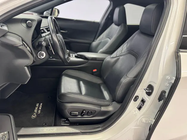 Lexus UX 300e Excellence