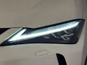Lexus UX 300e Excellence