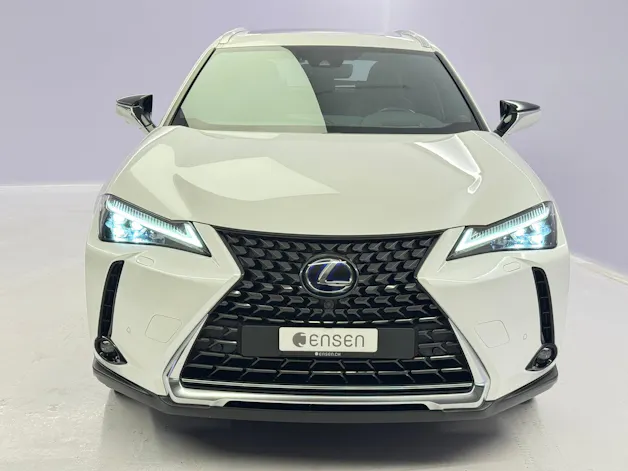 Lexus UX 300e Excellence
