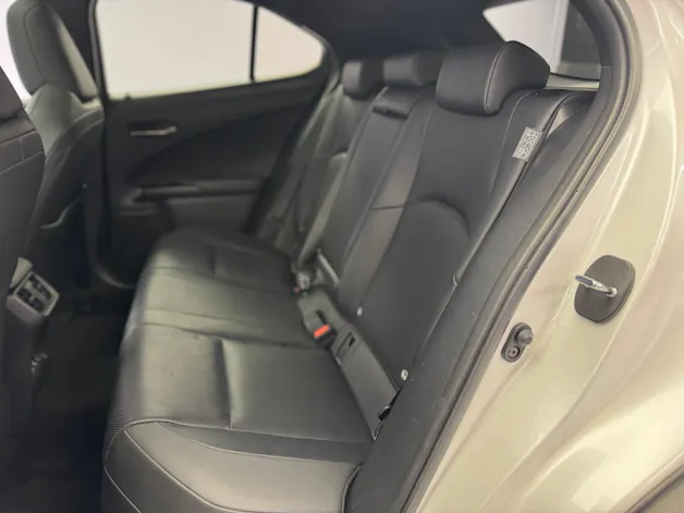 Lexus UX 300e Excellence