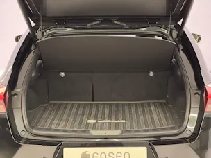 Lexus UX 300h Excellence AWD