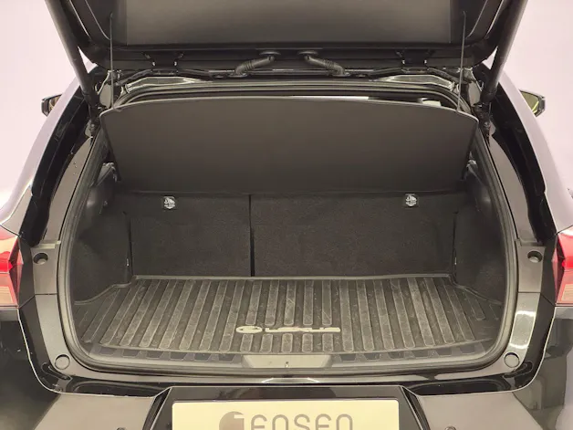 Lexus UX 300h Excellence AWD