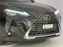 Lexus UX 300h Excellence AWD