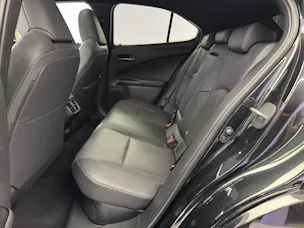 Lexus UX 300h Excellence AWD