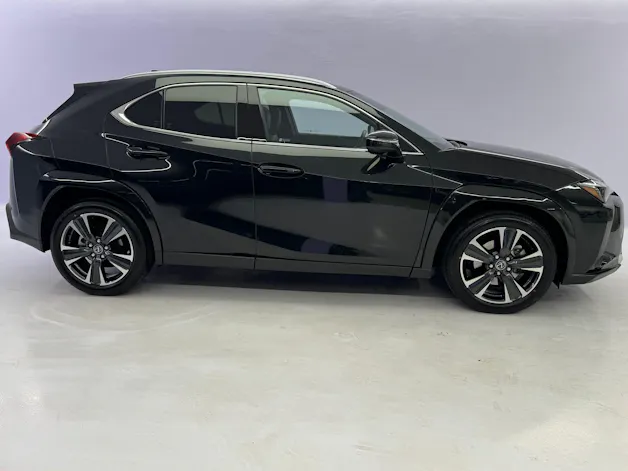 Lexus UX 300h Excellence AWD