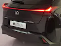 Lexus UX 300h Excellence AWD
