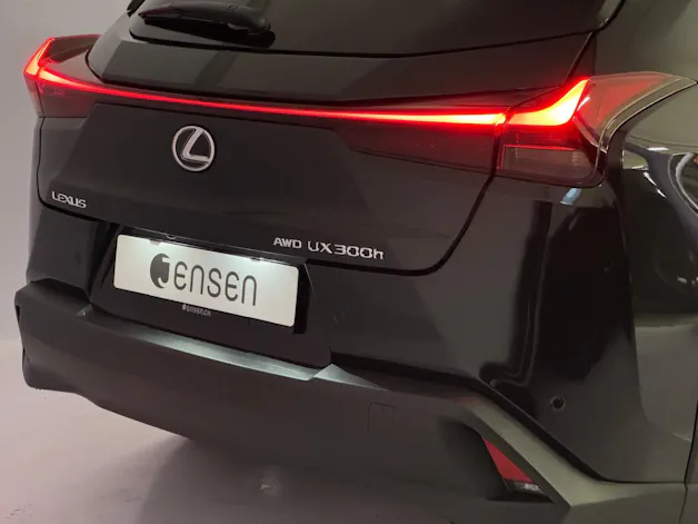 Lexus UX 300h Excellence AWD