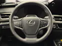 Lexus UX 300h Excellence AWD