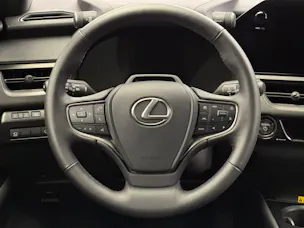 Lexus UX 300h Excellence AWD