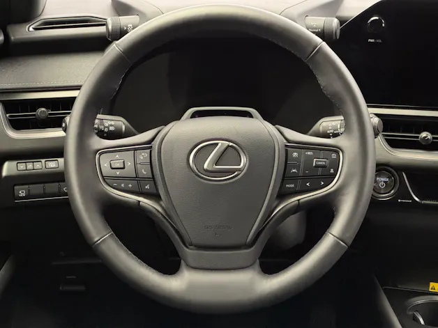 Lexus UX 300h Excellence AWD