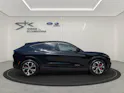 Ford Mustang Mach-E Extended AWD