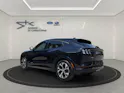 Ford Mustang Mach-E Extended AWD