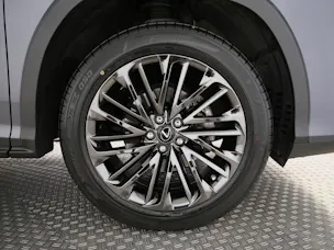 Lexus RX 300 Special Edition
