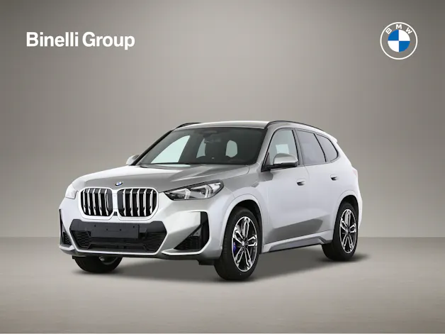 BMW X1 23i xDrive paddles